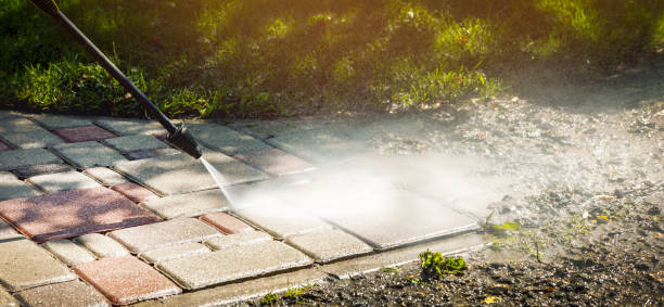 Best House Exterior Washing  in Lake Forest, IL
